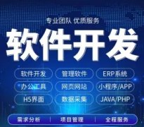 软件开发、软件定制、app开发、小程序开发