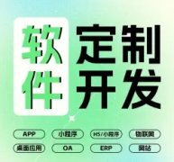 企业管理系统+app开发+小程序开发+物联网开发